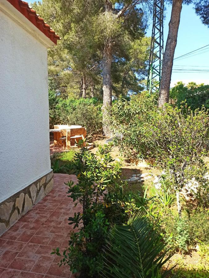 Javea Villa El Nido 10-15P Pool Minimaal 10 Nachten Geen Groep Jongelui Zewnętrze zdjęcie
